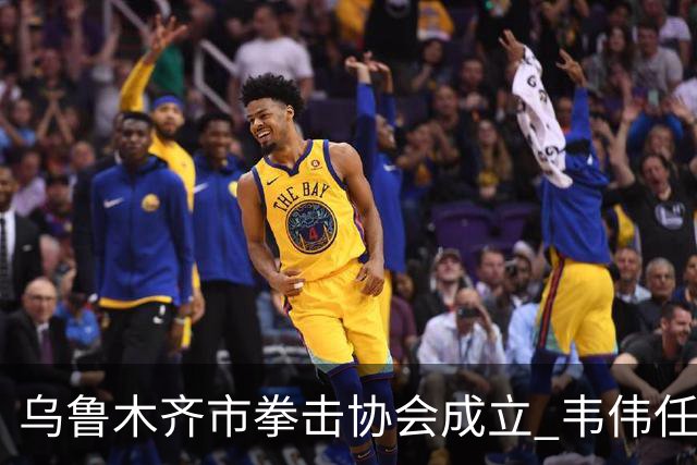 乌鲁木齐市拳击协会成立 韦伟任会长